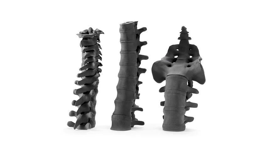 3D printed spine models for medical applications