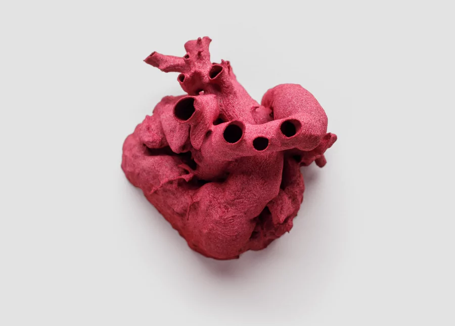 a 3d printed heart with lisa pro sls 3d printer